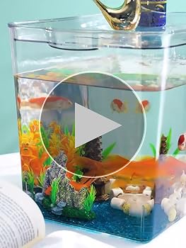 アクアドーム　ペンギン　金魚鉢　新品未使用　液体密閉 アクアドーム ペンギン 金魚鉢 新品未使用 液体密閉 アクア